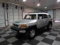 Titanium Metallic - FJ Cruiser 4WD Photo No. 3