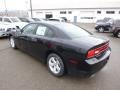 Pitch Black - Charger SE Photo No. 8