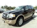 2013 Kodiak Brown Ford Expedition XLT  photo #13