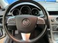 Light Platinum - CTS Sedan Photo No. 35