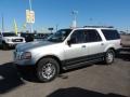 Ingot Silver Metallic - Expedition EL XL 4x4 Photo No. 5