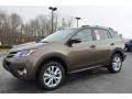 Pyrite Mica 2014 Toyota RAV4 Limited Exterior