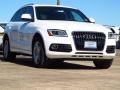 Ibis White - Q5 2.0 TFSI quattro Photo No. 1