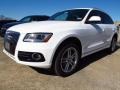 Ibis White - Q5 2.0 TFSI quattro Photo No. 4