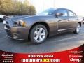 2014 Granite Crystal Metallic Dodge Charger SE  photo #1