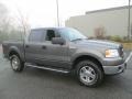 2006 Dark Shadow Grey Metallic Ford F150 XLT SuperCrew 4x4  photo #11