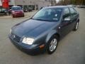 Platinum Grey Metallic - Jetta GLS Sedan Photo No. 3