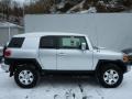Titanium Metallic - FJ Cruiser 4WD Photo No. 10