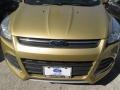 2014 Karat Gold Ford Escape SE 1.6L EcoBoost  photo #2