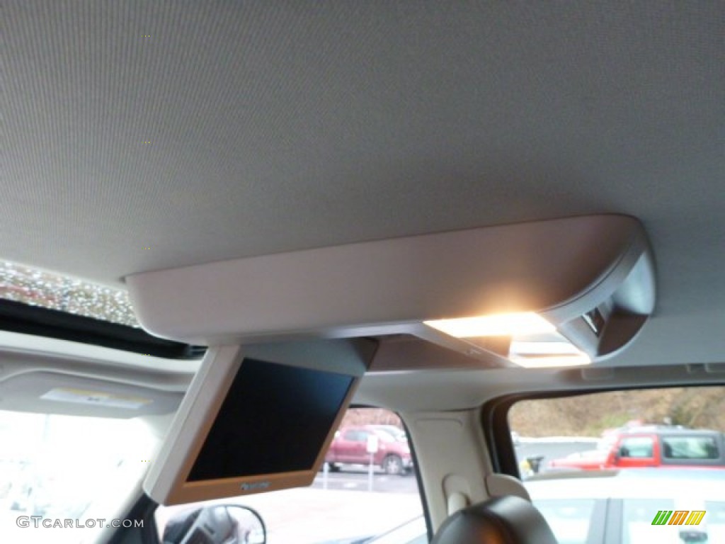 2010 Escalade Luxury AWD - Black Ice / Ebony photo #19