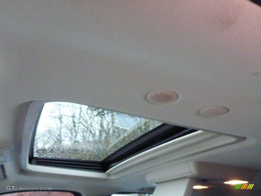 2010 Escalade Luxury AWD - Black Ice / Ebony photo #21