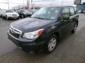 Dark Gray Metallic - Forester 2.5i Photo No. 3