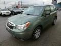 Jasmin Green Metallic - Forester 2.5i Photo No. 3