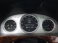 2010 Jade Green Metallic Mercedes-Benz GLK 350 4Matic  photo #9