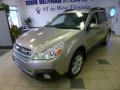 Tungsten Metallic - Outback 2.5i Premium Photo No. 3