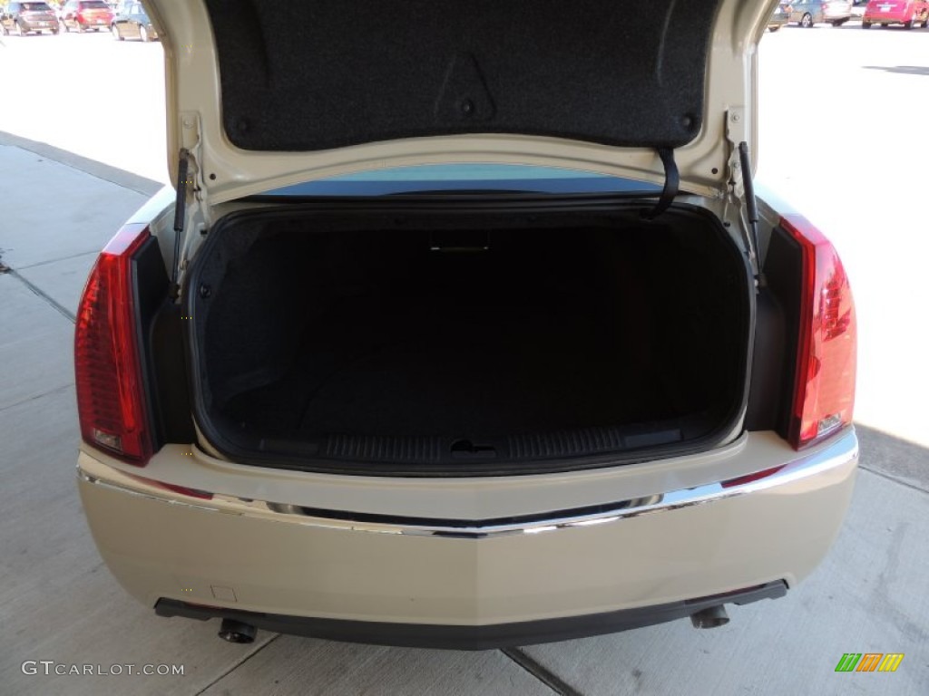 2010 CTS 3.6 Sedan - Vanilla Latte / Cashmere/Cocoa photo #4