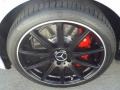 2014 Mercedes-Benz E 63 AMG S-Model Wheel and Tire Photo