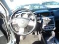 Brilliant Silver - NV200 SV Photo No. 12