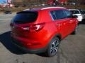 Signal Red - Sportage EX AWD Photo No. 6