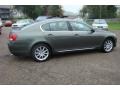 Cypress Green Pearl - GS 300 AWD Photo No. 10