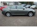 Cypress Green Pearl - GS 300 AWD Photo No. 11