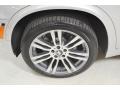 Titanium Silver Metallic - X5 xDrive 35i Photo No. 10