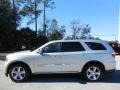Bright Silver Metallic - Durango Citadel Photo No. 2