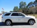 Bright Silver Metallic - Durango Citadel Photo No. 11