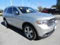 Bright Silver Metallic - Durango Citadel Photo No. 12
