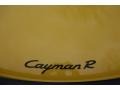 Speed Yellow - Cayman R Photo No. 11