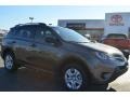 Pyrite Mica 2013 Toyota RAV4 Gallery
