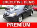 Dark Gray Metallic - Forester 2.5i Premium Photo No. 1