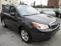 Dark Gray Metallic - Forester 2.5i Premium Photo No. 8