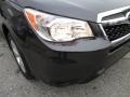 Dark Gray Metallic - Forester 2.5i Premium Photo No. 28