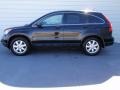 2008 Nighthawk Black Pearl Honda CR-V EX  photo #6