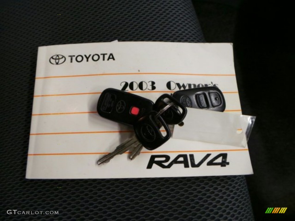 2003 RAV4 4WD - Natural White / Gray photo #28