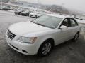 Powder White Pearl - Sonata GLS Photo No. 5