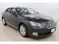 2010 Smoky Granite Mica Lexus ES 350  photo #1