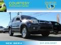 Galactic Gray Mica - 4Runner SR5 Photo No. 1