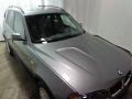 Silver Grey Metallic - X3 2.5i Photo No. 14