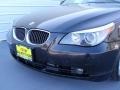 Jet Black - 5 Series 545i Sedan Photo No. 12