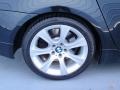 Jet Black - 5 Series 545i Sedan Photo No. 15