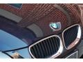 Orient Blue Metallic - 5 Series 530xi Sedan Photo No. 98