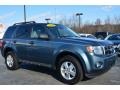 2010 Steel Blue Metallic Ford Escape XLT  photo #1