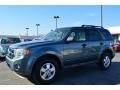 2010 Steel Blue Metallic Ford Escape XLT  photo #3