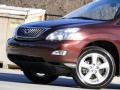 2008 Brandywine Mica Lexus RX 350  photo #25