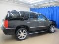 Black Raven - Escalade AWD Photo No. 10
