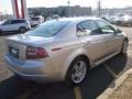 Alabaster Silver Metallic - TL 3.2 Photo No. 8