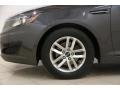 Platinum Graphite - Optima LX Photo No. 16