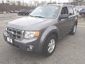 Sterling Gray Metallic - Escape XLT Photo No. 1